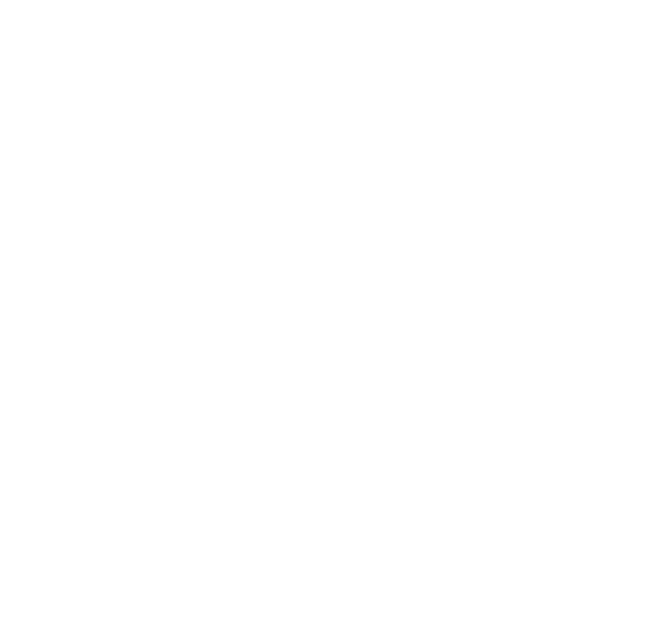 IF NOT NOW THEN WHEN